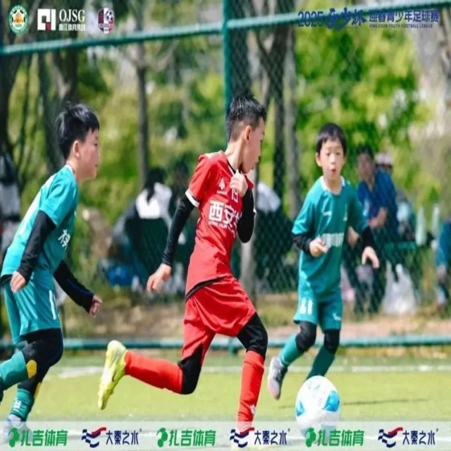 数据视角解析转会市场趋势 第379组全面观察
